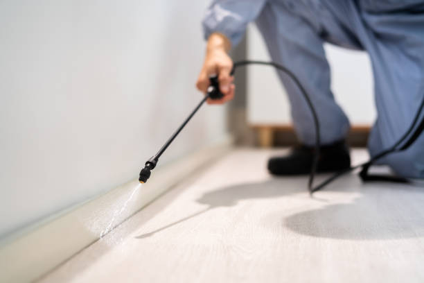 Professional exterminator conducting IPM assessment in Coppell